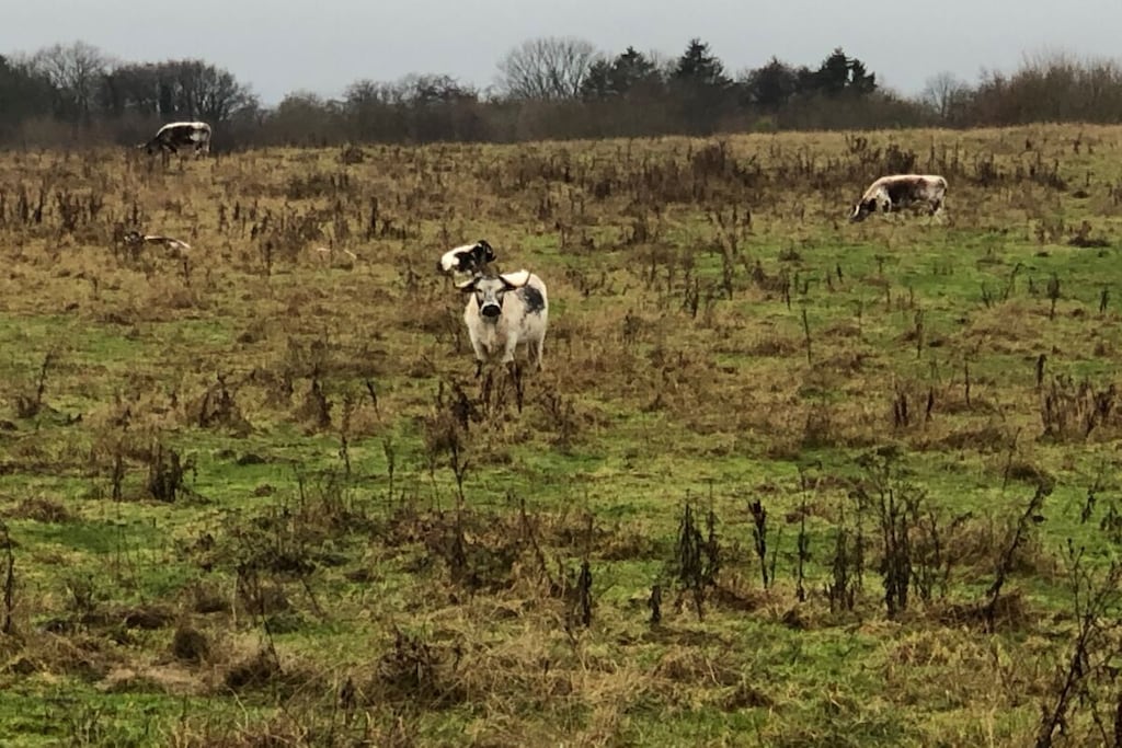 581113-Nicht zugeordnet