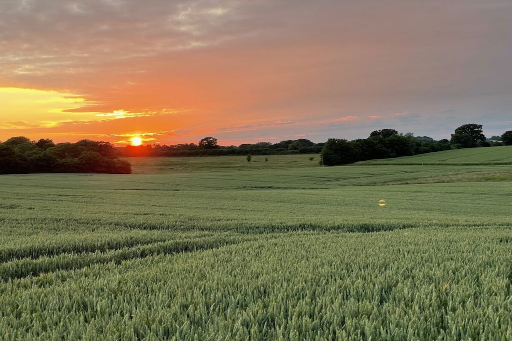 581113-Nicht zugeordnet
