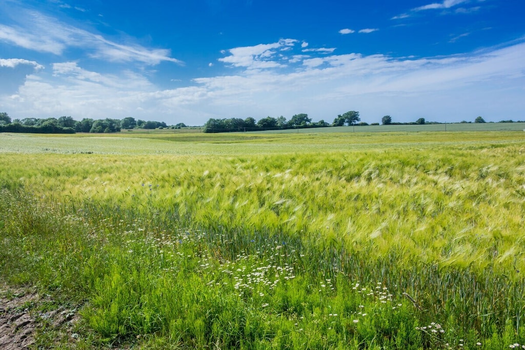 581113-Nicht zugeordnet