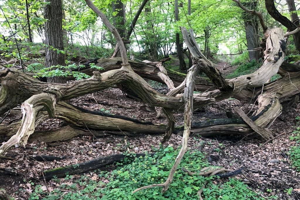 581113-Nicht zugeordnet