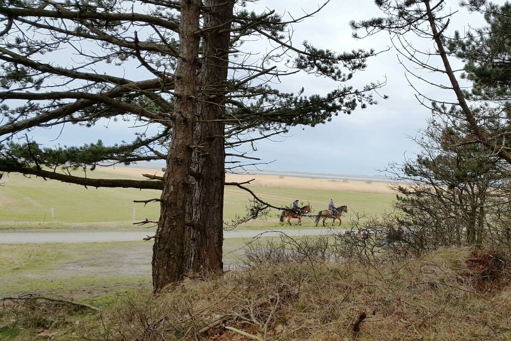 541259-Nicht zugeordnet