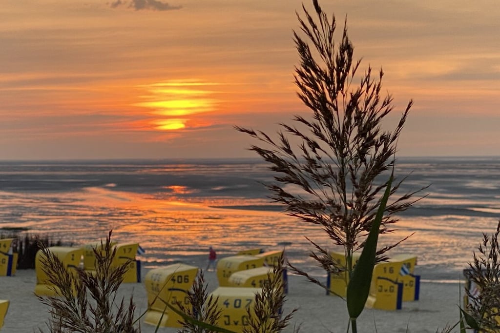 541259-Nicht zugeordnet