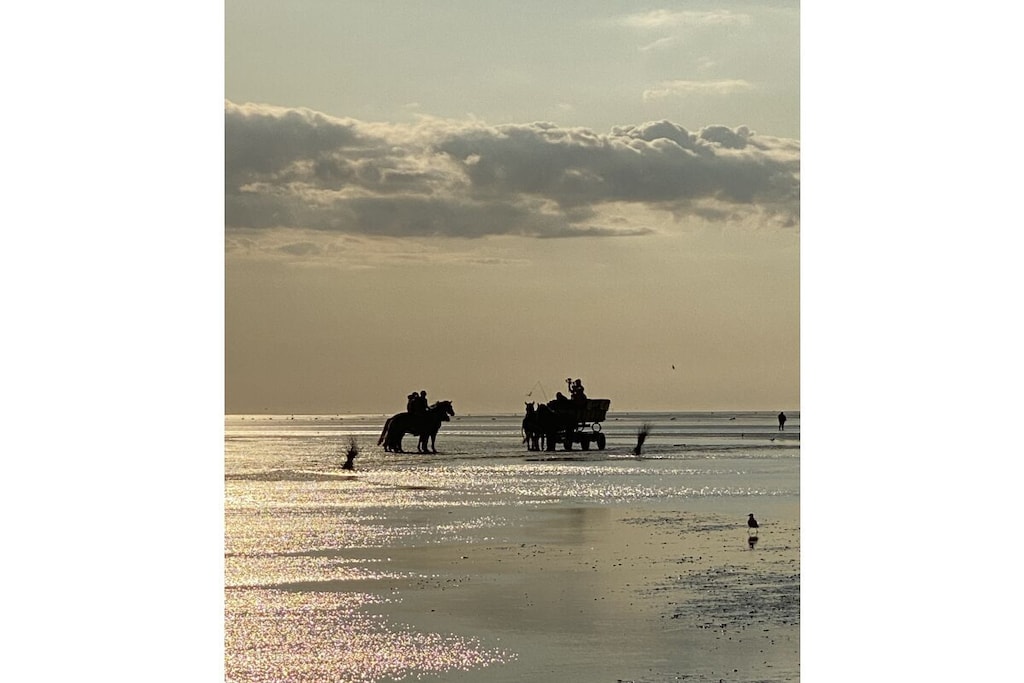 541259-Nicht zugeordnet