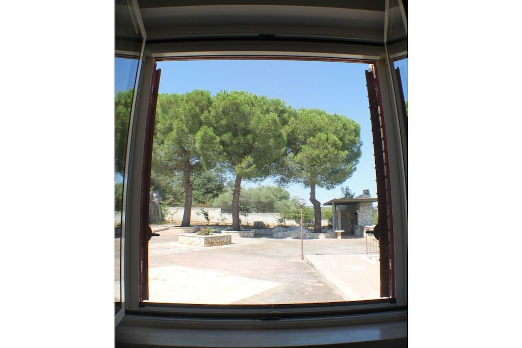 604236-Nicht zugeordnet