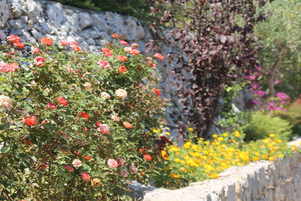 604236-Nicht zugeordnet