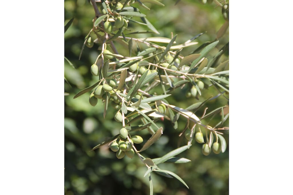 604236-Nicht zugeordnet