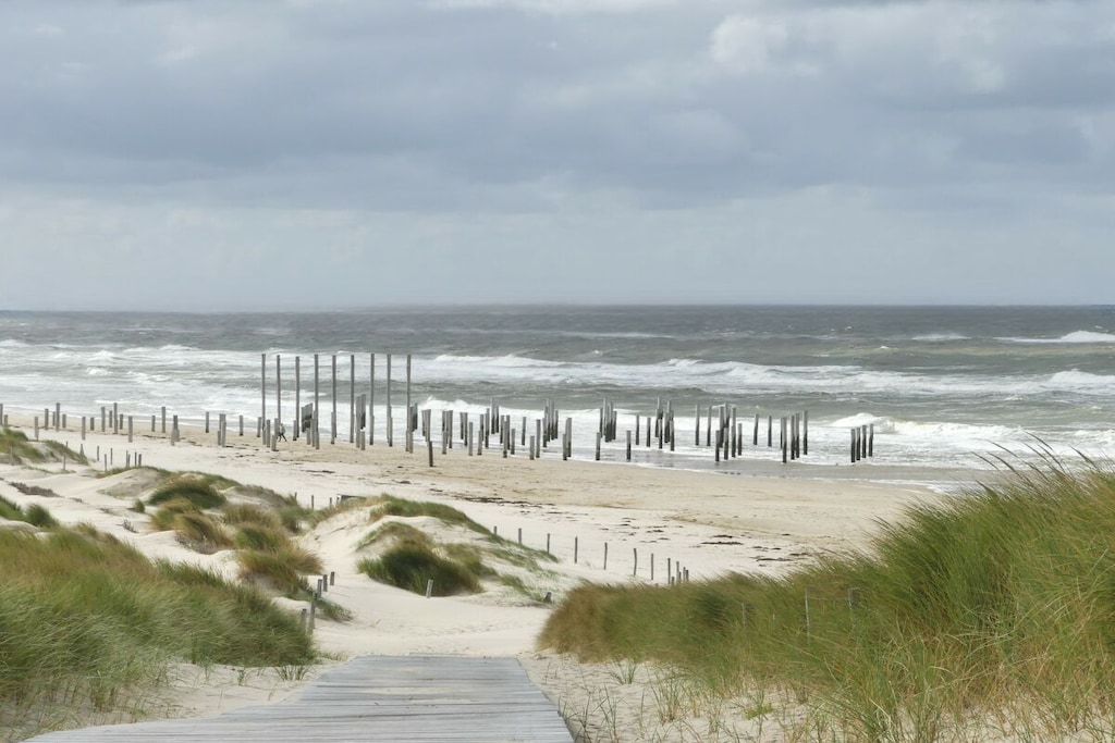 620867-Nicht zugeordnet