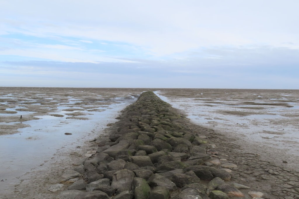 627791-Nicht zugeordnet