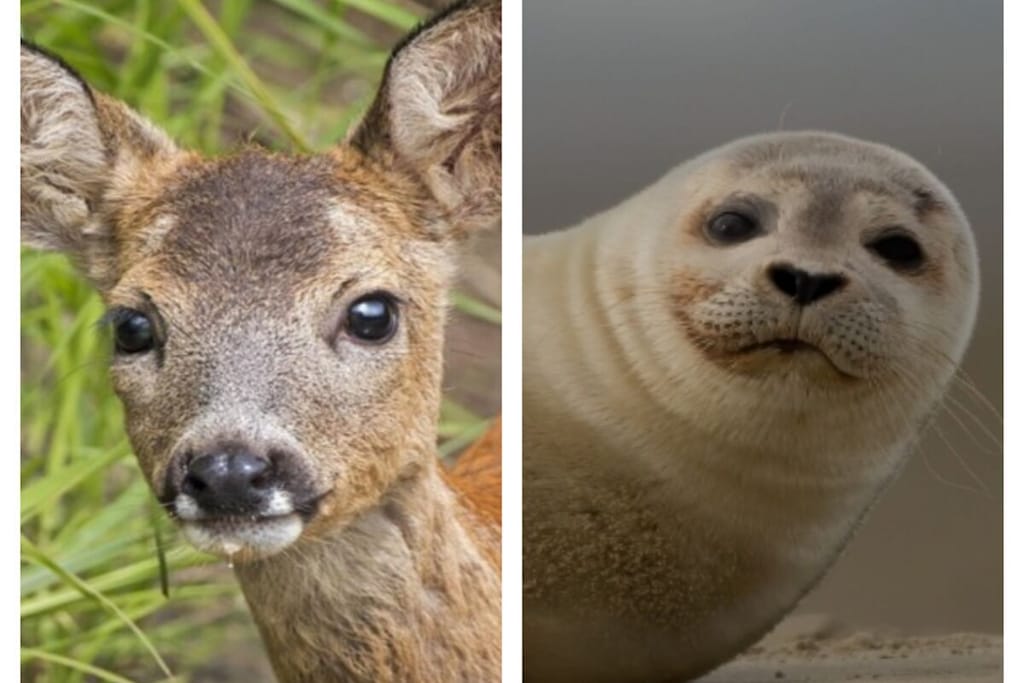 627791-Nicht zugeordnet