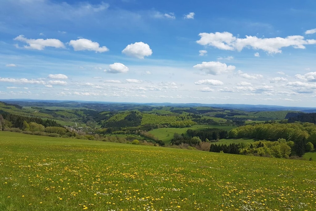 627563-Nicht zugeordnet