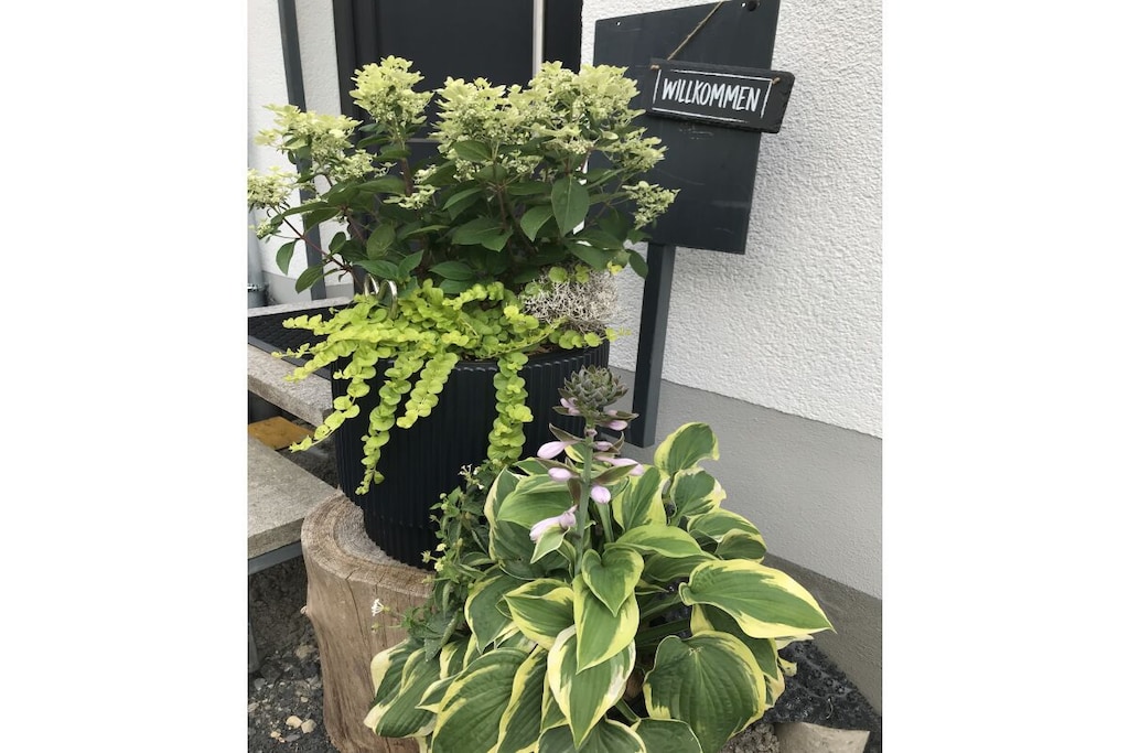 Holiday apartment with 1 bedroom