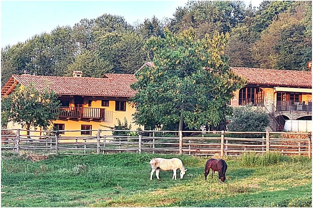 633964-Nicht zugeordnet