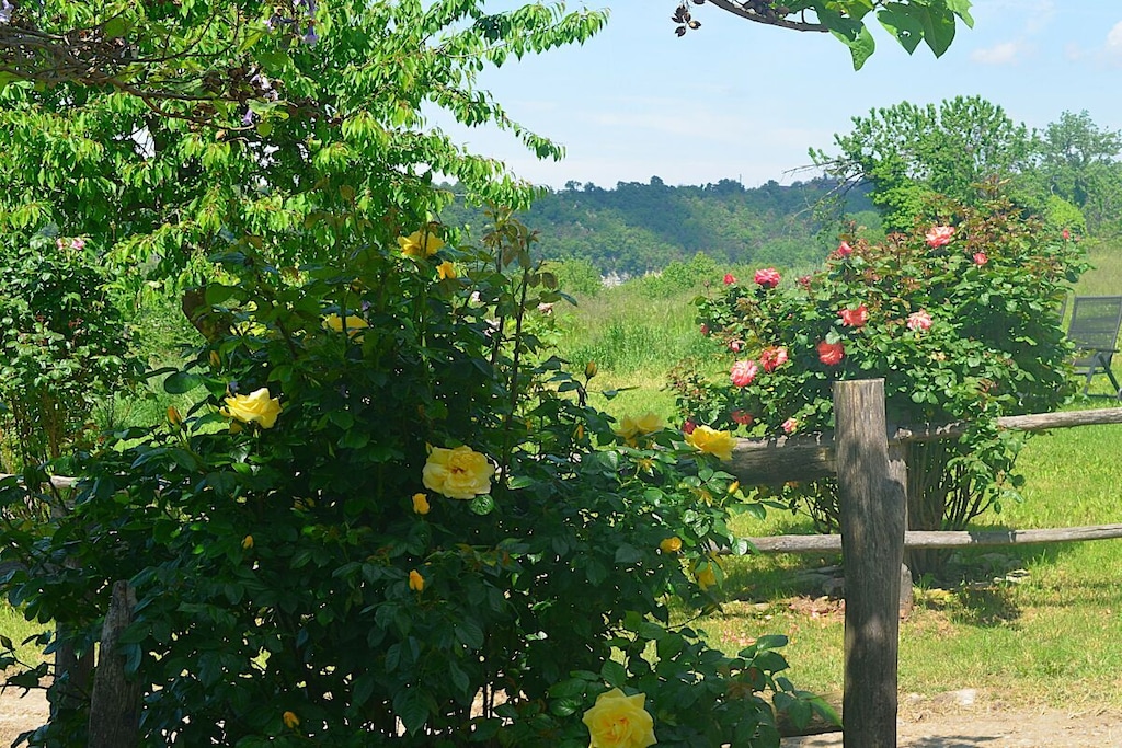 633964-Nicht zugeordnet