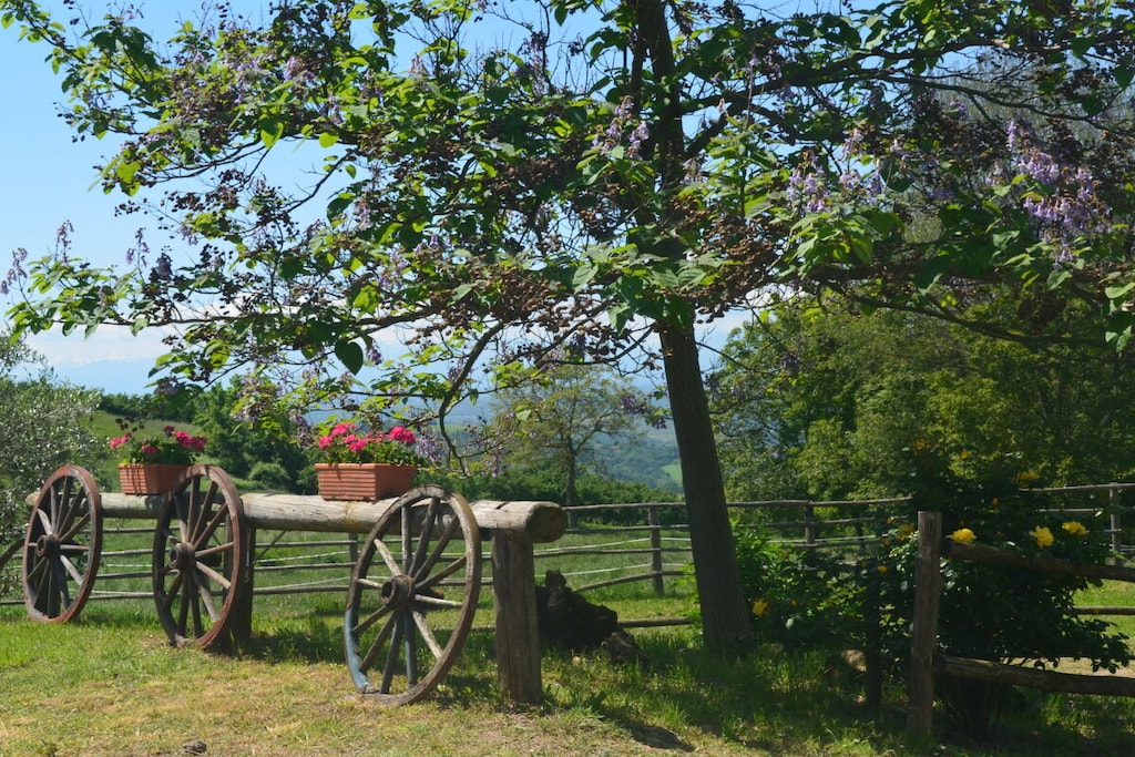 633964-Nicht zugeordnet