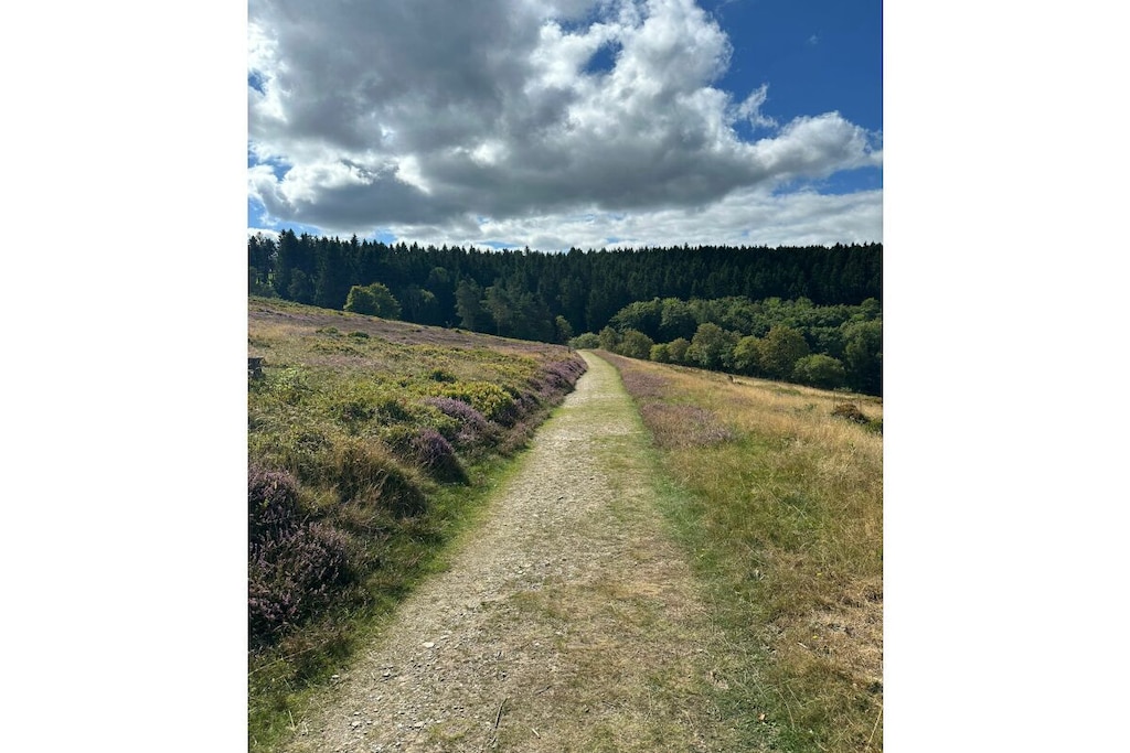 636801-Nicht zugeordnet