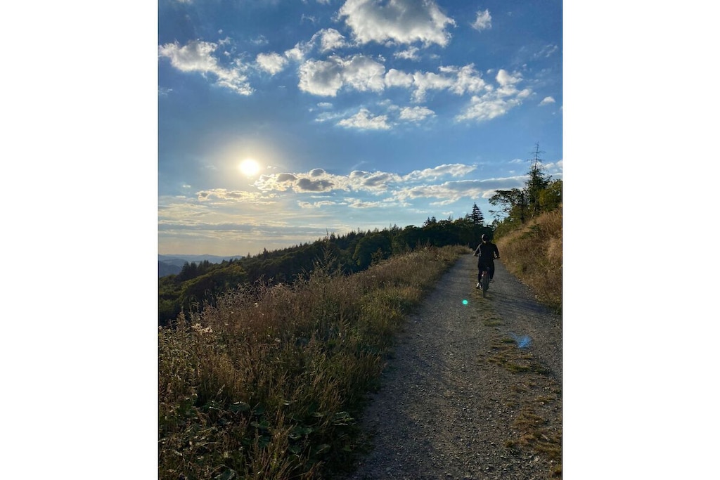 636801-Nicht zugeordnet