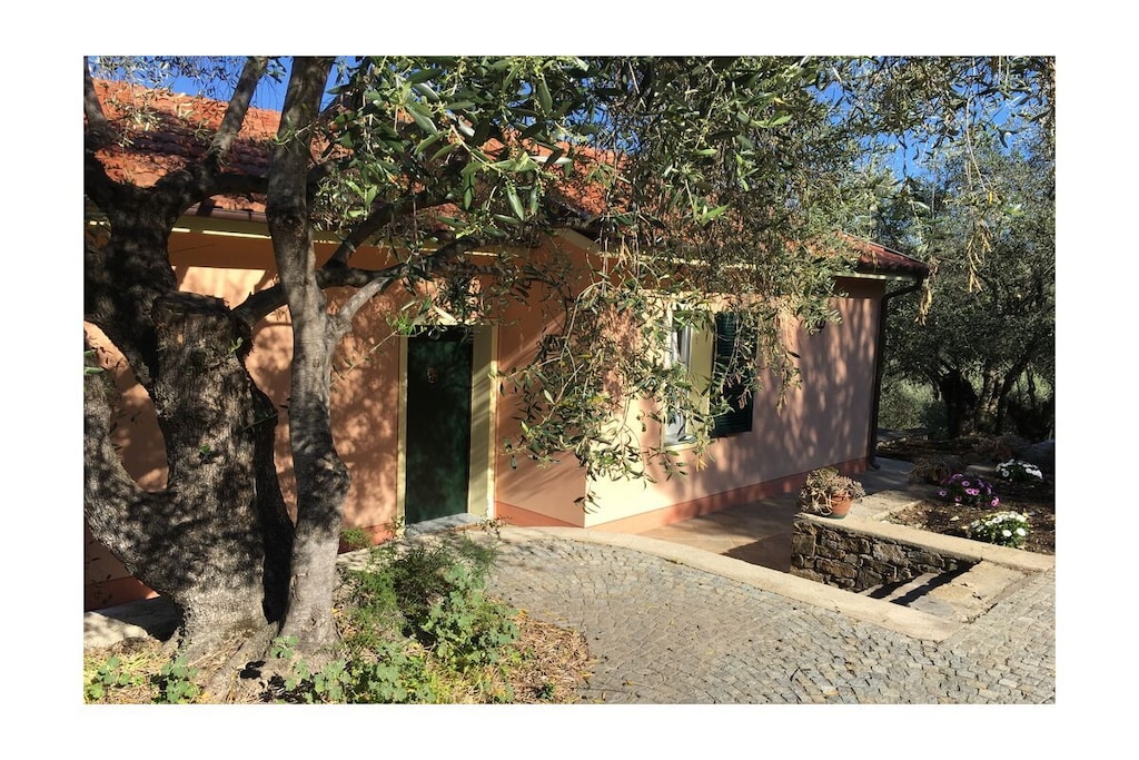 Cabin in Civezza with swimming pool