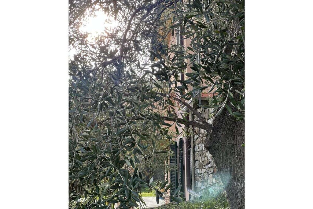 Liguria