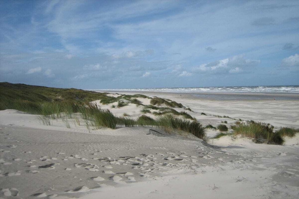 44755-Nicht zugeordnet