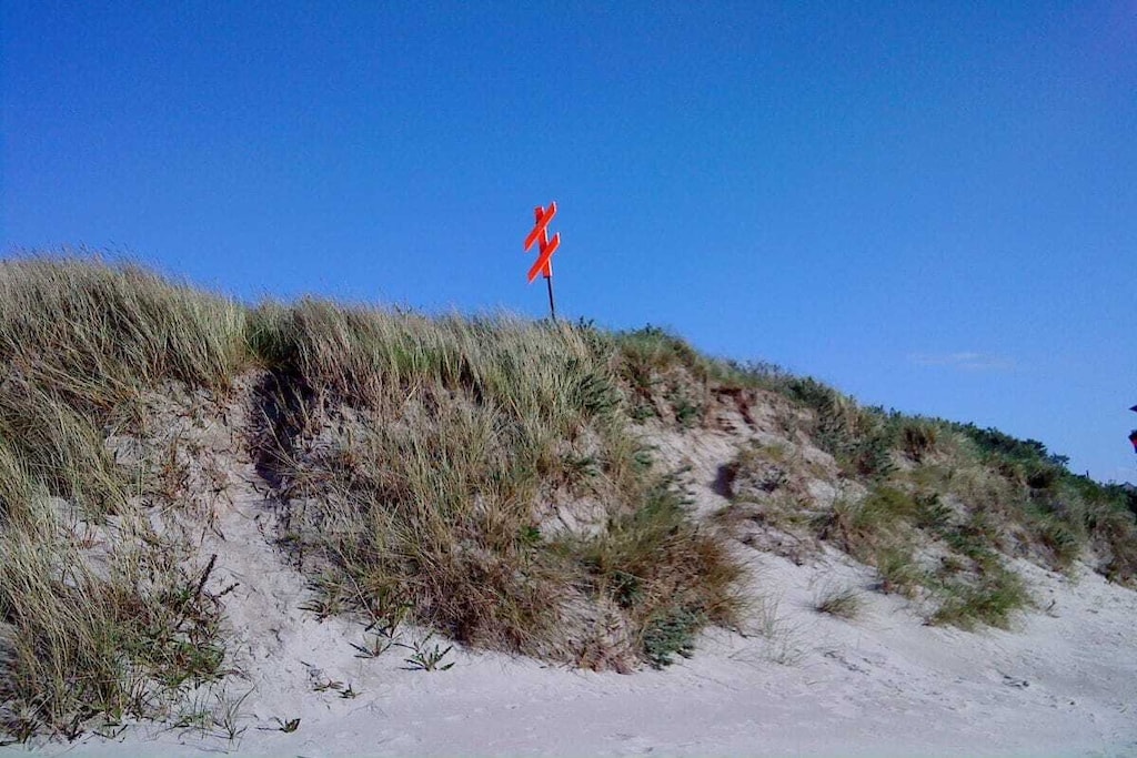 44755-Nicht zugeordnet