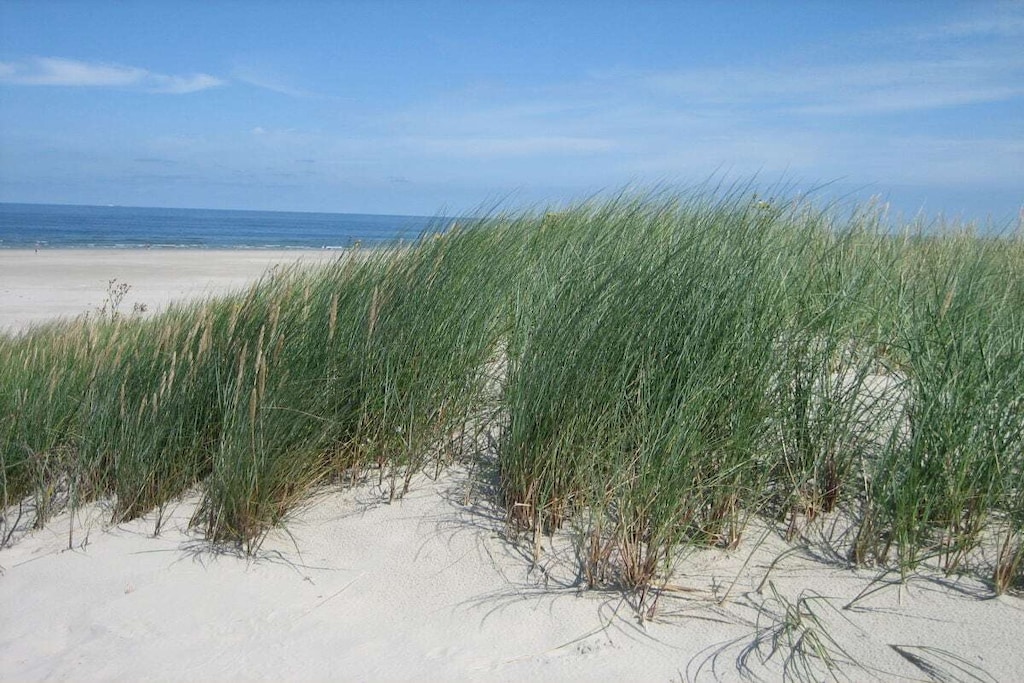 132316-Nicht zugeordnet