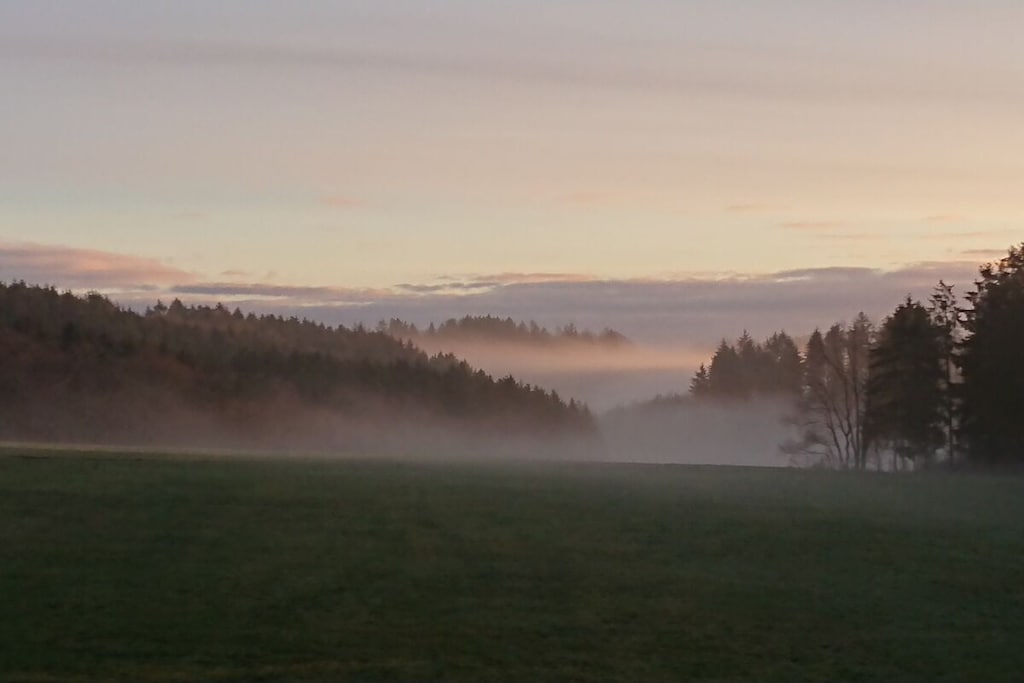 637108-Nicht zugeordnet