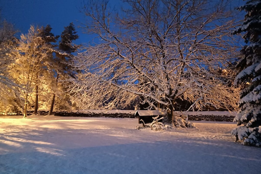 637763-Nicht zugeordnet