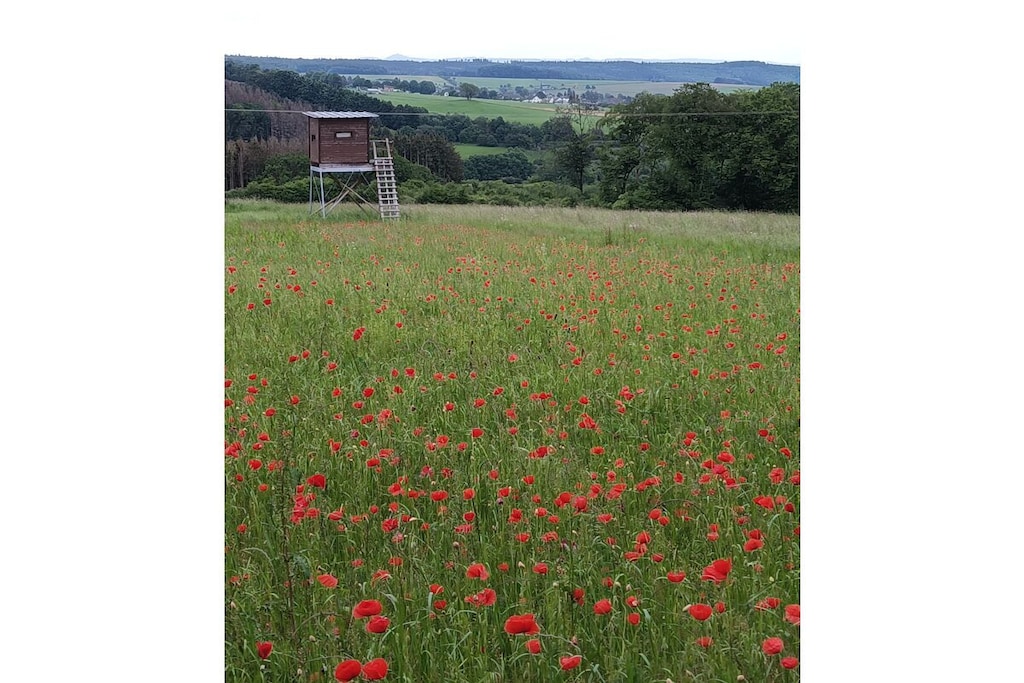 637763-Nicht zugeordnet