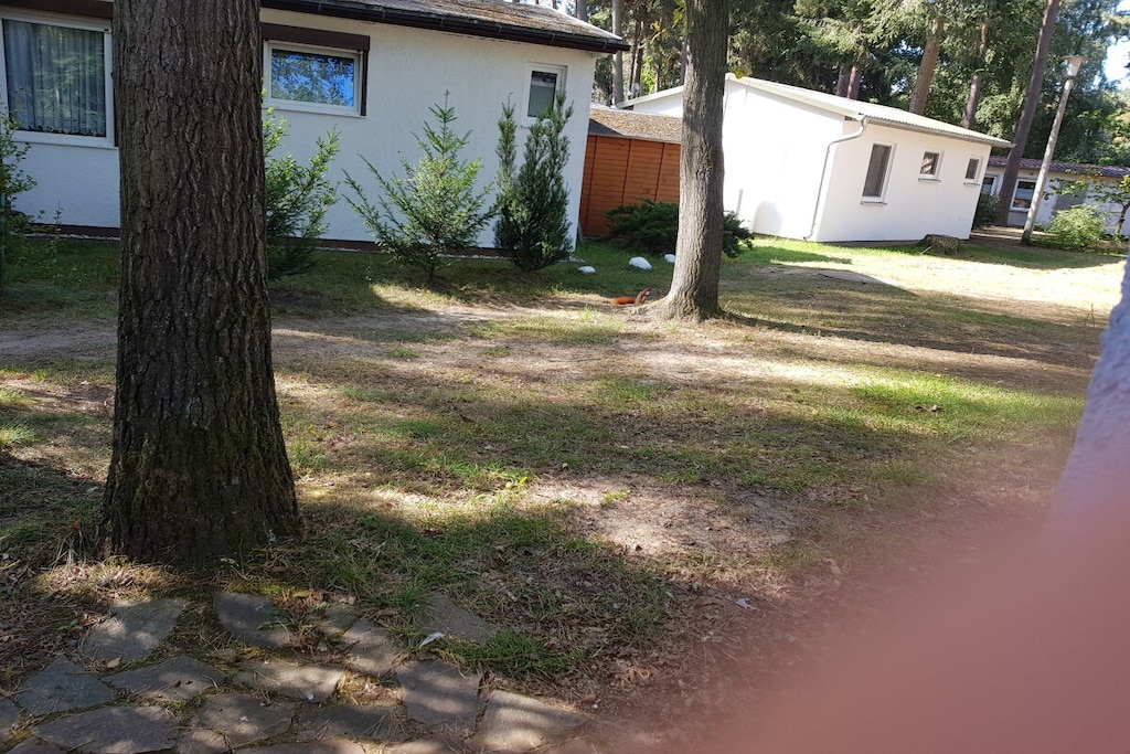 Holiday apartment with 1 bedroom