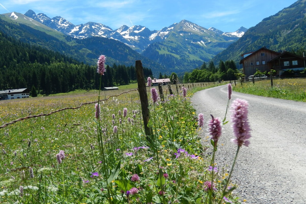 474615-Nicht zugeordnet