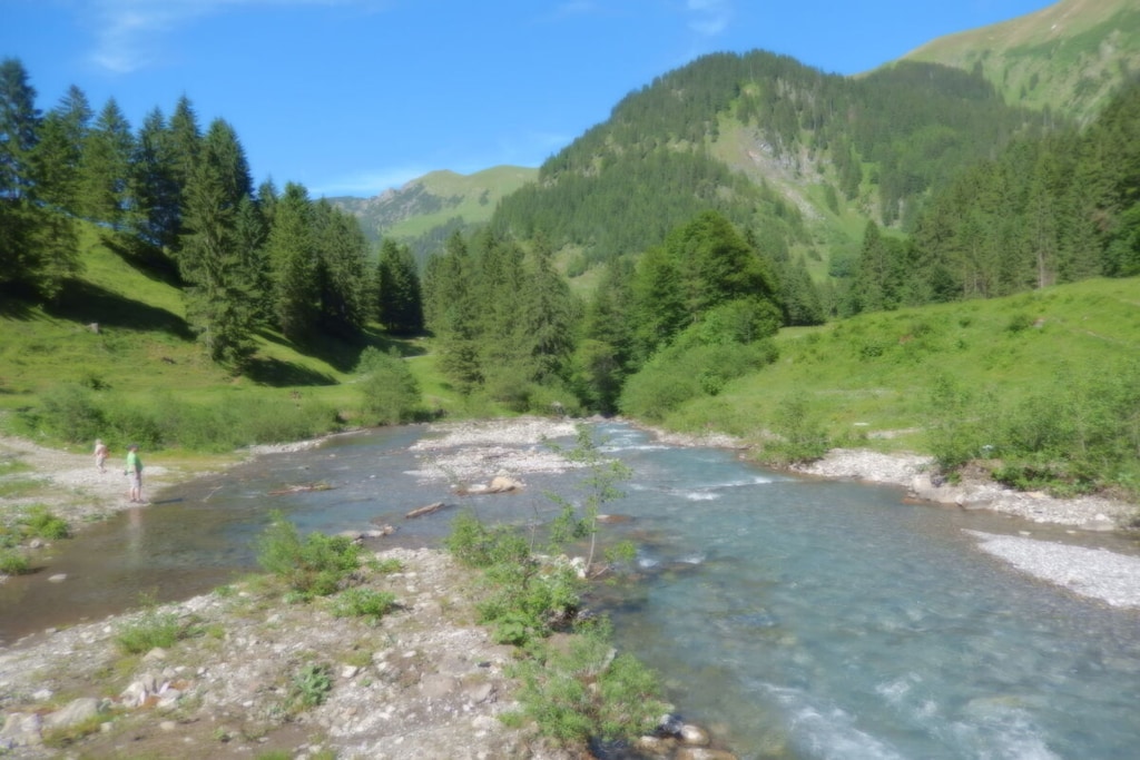 474615-Nicht zugeordnet