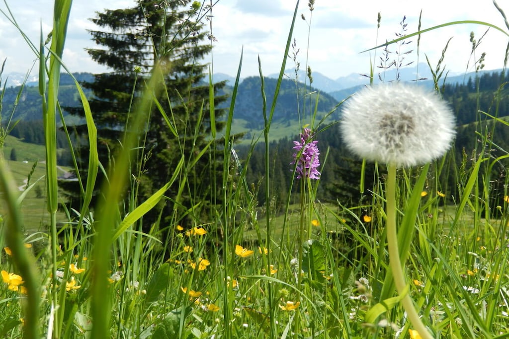 474615-Nicht zugeordnet