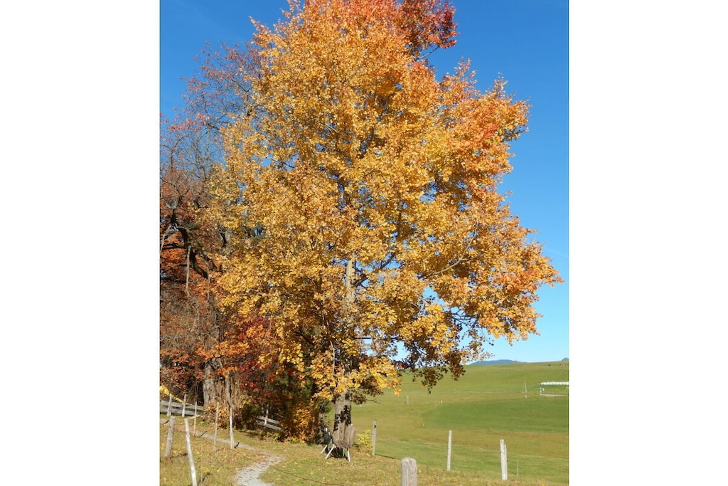 474615-Nicht zugeordnet