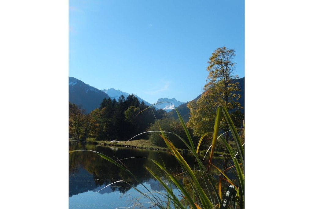 474615-Nicht zugeordnet