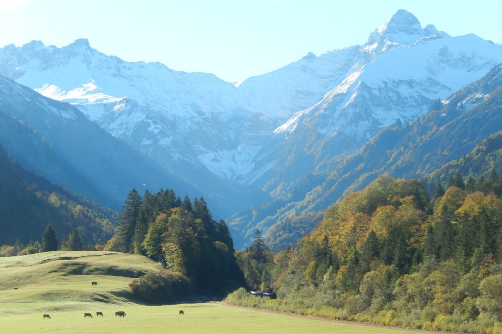 474615-Nicht zugeordnet