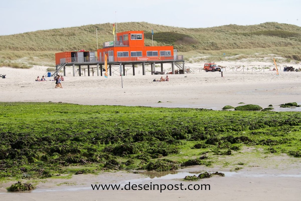 65515 - Niet-getagd