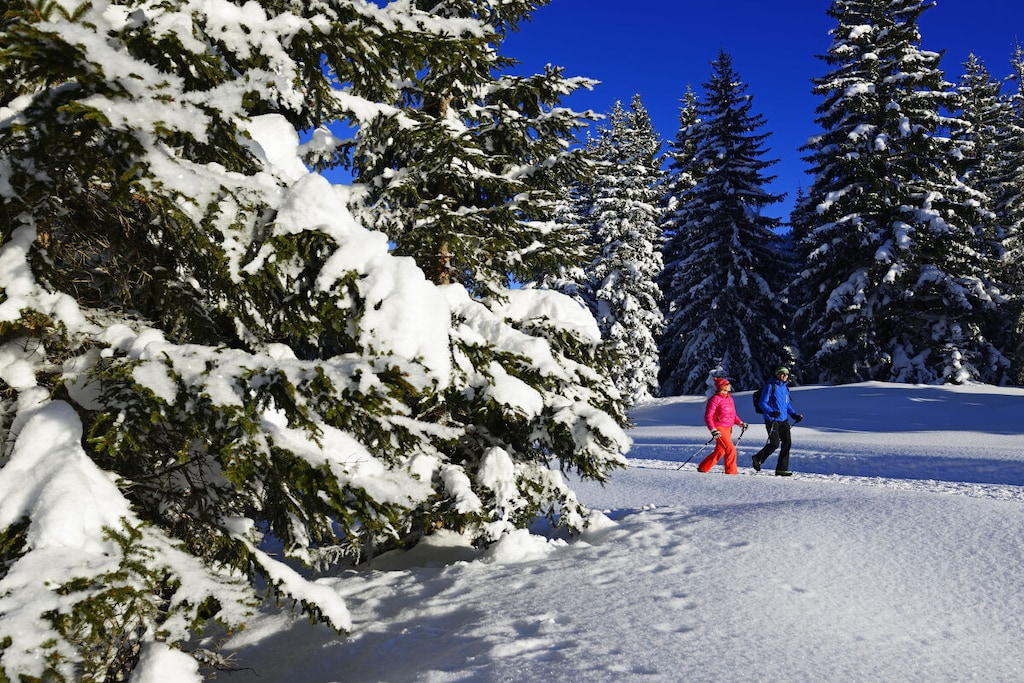 515566-Nicht zugeordnet