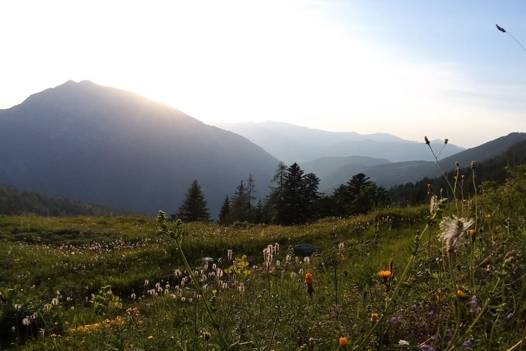 515566-Nicht zugeordnet