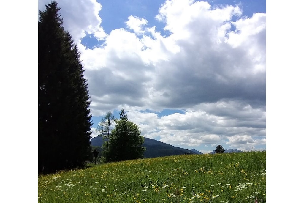 515579-Nicht zugeordnet