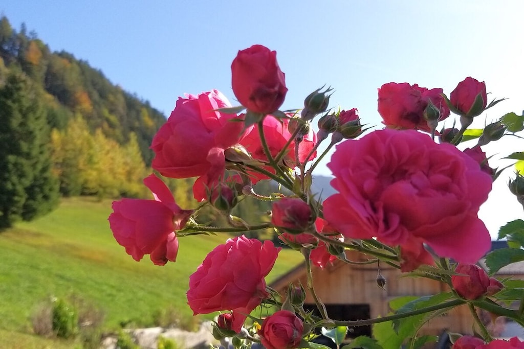 515579-Nicht zugeordnet