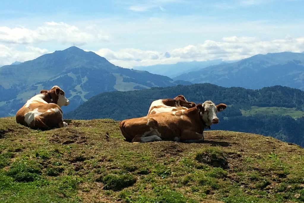 515579-Nicht zugeordnet