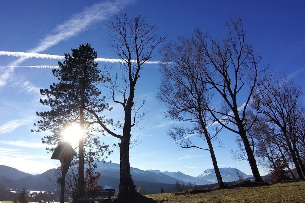 515579-Nicht zugeordnet