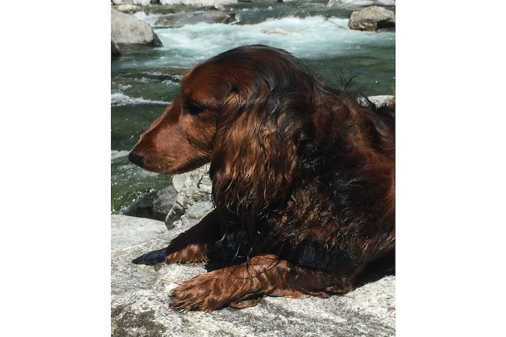 475196-Nicht zugeordnet