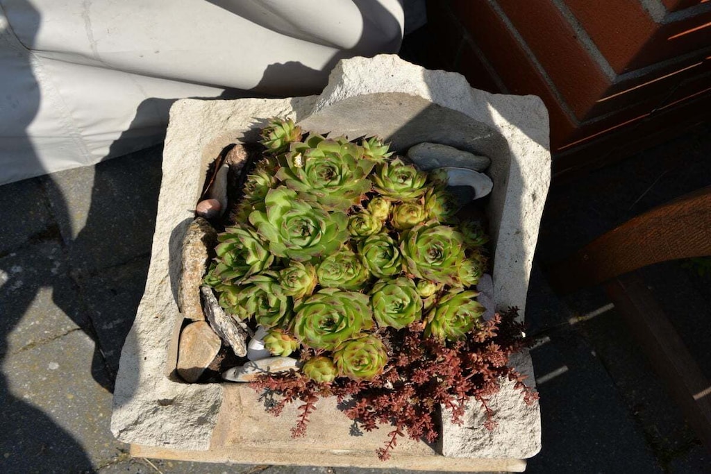 27157-Nicht zugeordnet