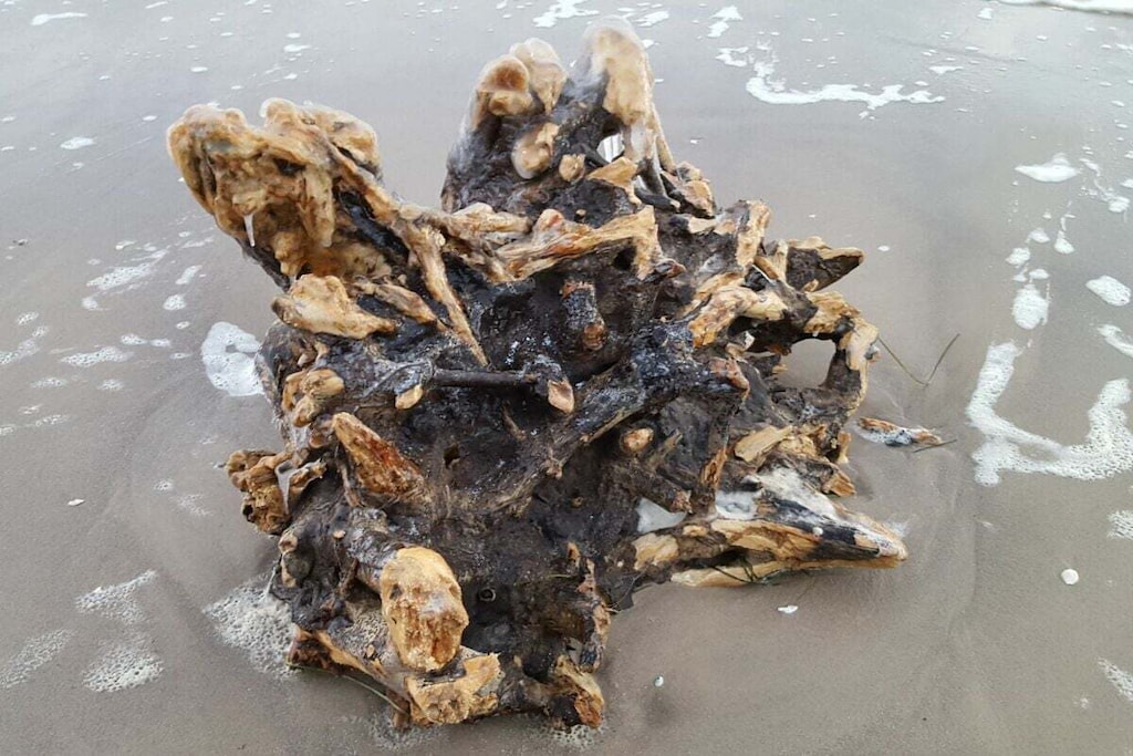 27157-Nicht zugeordnet