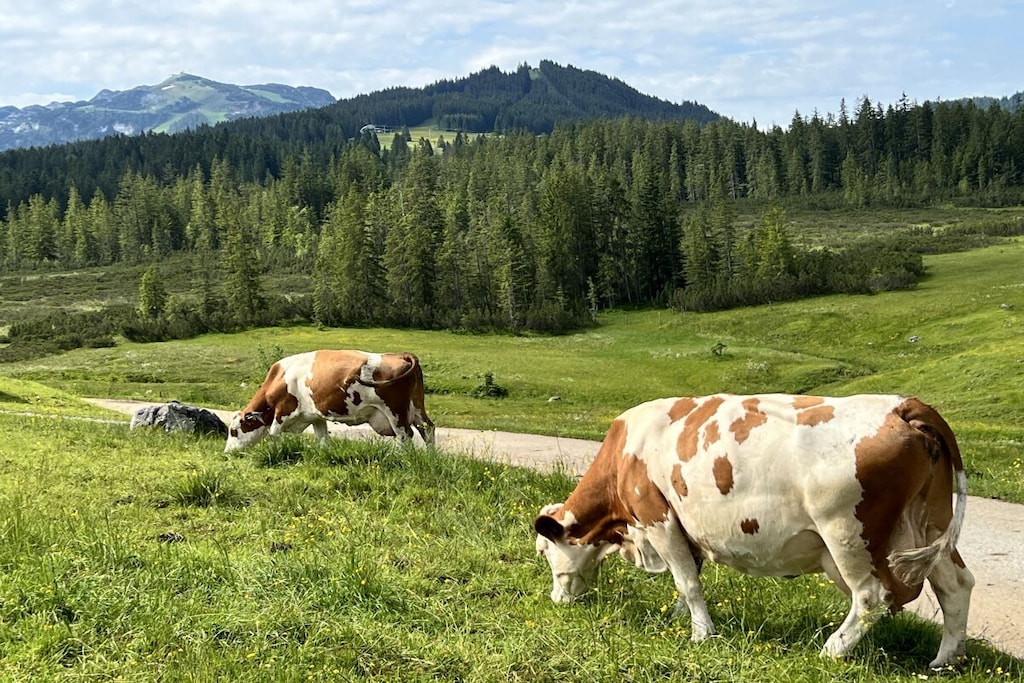 199252-Nicht zugeordnet