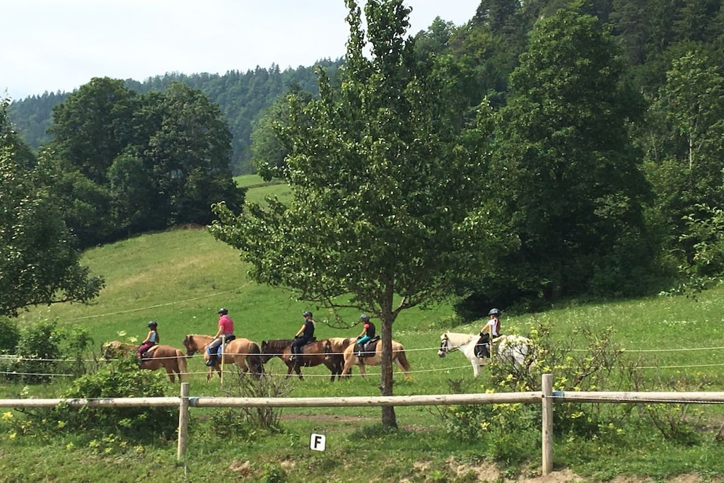 199252-Nicht zugeordnet