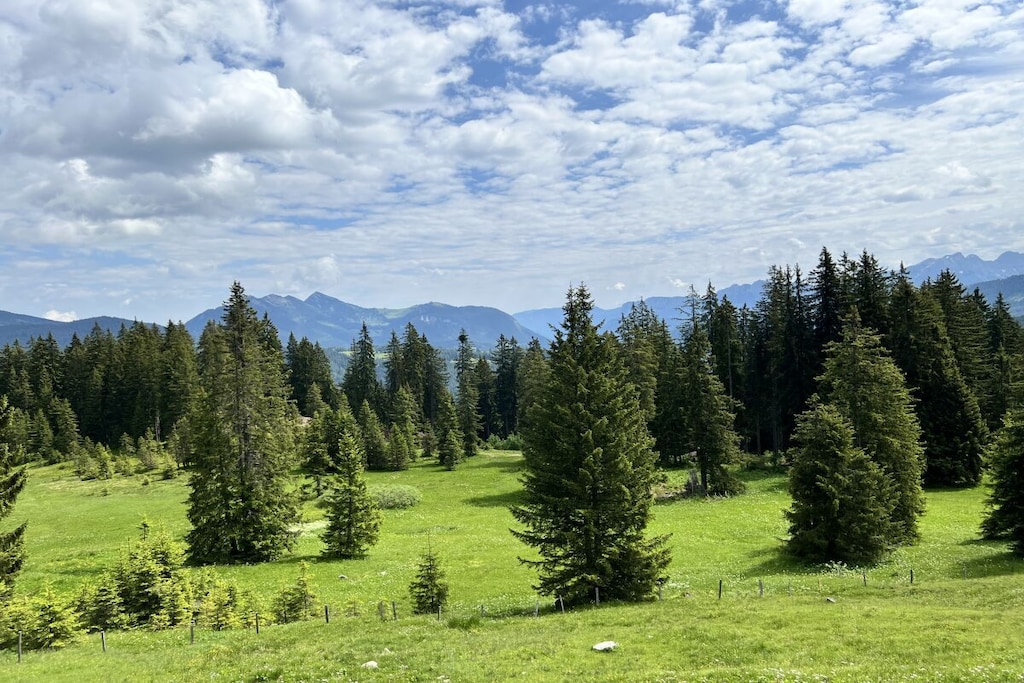 199252-Nicht zugeordnet