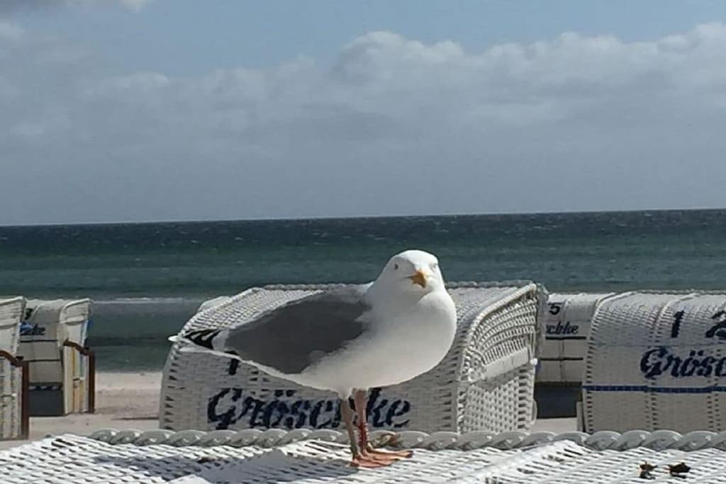 218380-Nicht zugeordnet