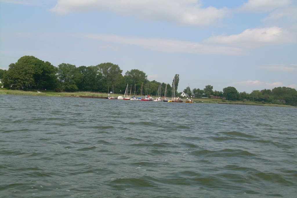 46313 - Niet-getagd